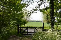 Passage Staalduinse bos