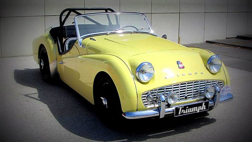 Yello Triumph von Nicky`s Prints