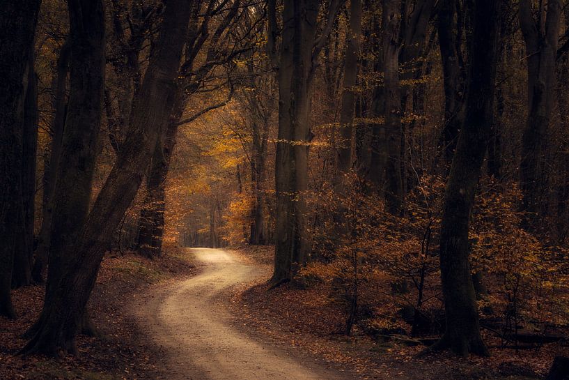Herbst von Moetwil en van Dijk - Fotografie