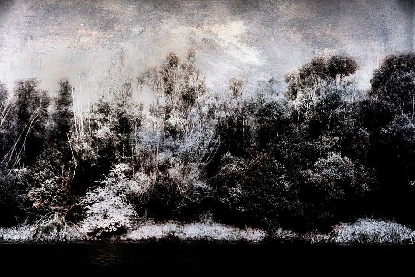 The bank of the Biesbosch by Peter Baak