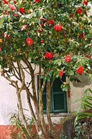 Gemütlichkeit auf dem Land