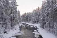 L'hiver en Laponie finlandaise