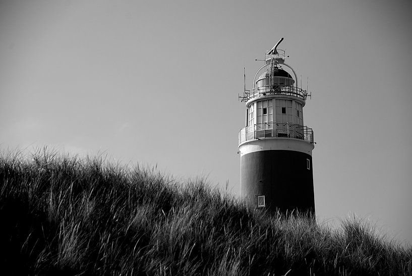 Texel von Elly Kiljan