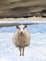 Dollie le mouton dans un paysage islandais abstrait