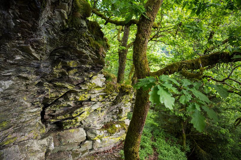 Landschaft mit Eiche im Wald mit Felsen von Ger Beekes