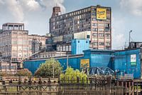 Domino Sugar Refinery