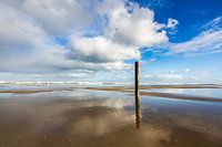 Strandpfosten am Strand von Terschelling