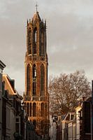 Domtoren in de namiddagzon.