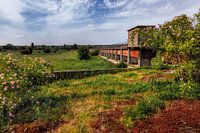 Bridge in Meinerswijk