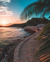 Geschwungener Strand auf Curacao