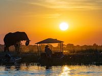 Sonnenuntergang bei Chobe, Afrika
