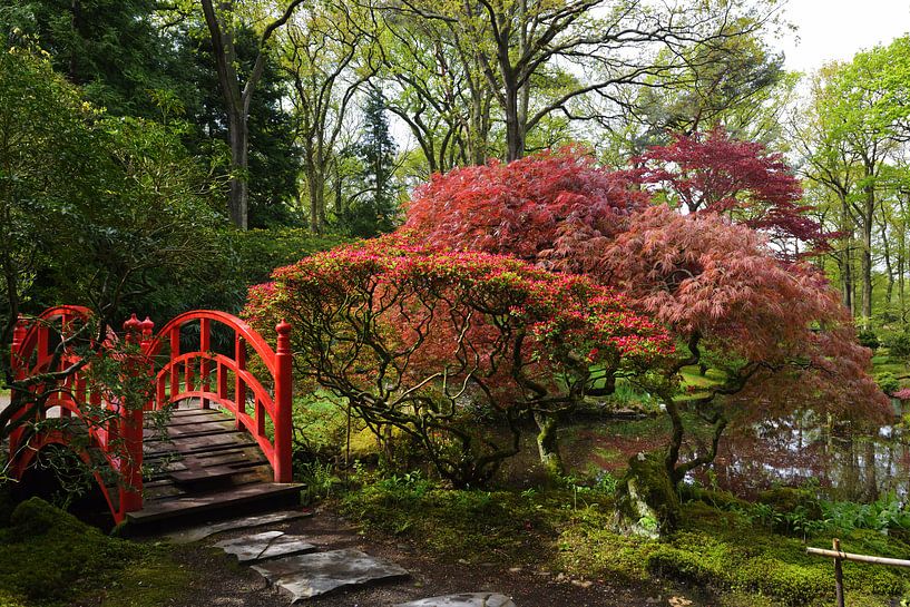 Brug in Japanse tuin  von Georges Hoeberechts