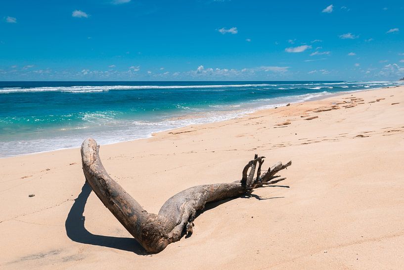 Beautiful White Beach with Bright Blue Water (Pantai Nunggalan Beach) in Bali, Indonesia by Troy Wegman