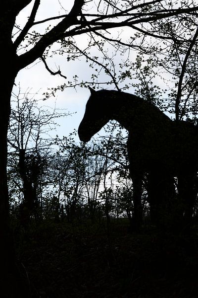  Horse silhouette by FotoGraaGHanneke