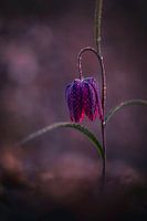 Etwas Licht in der Dunkelheit