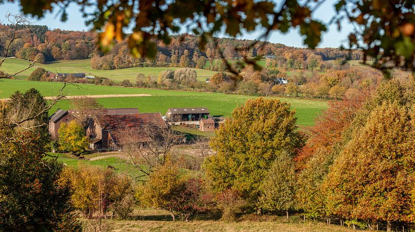 Herfstkleuren op de heuvels van Zuid-Limburg van John Kreukniet