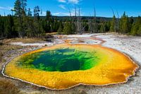 Morning Glory Pool au PN de Yellowstone
