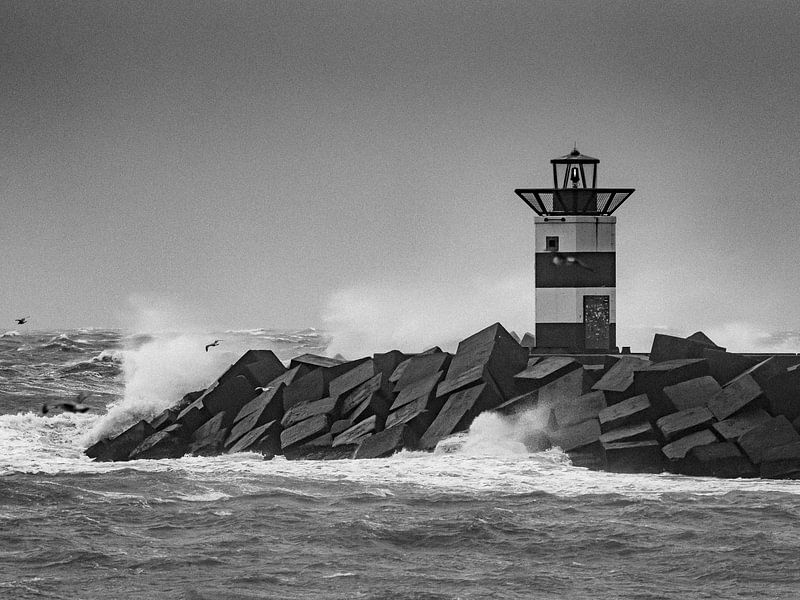Pier in Scheveningen von Dirk van der Plas