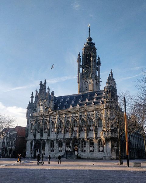 Middelburg Town Hall by Annabel van Leeuwen
