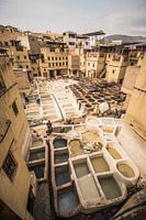 Gerberei Fez, Marokko