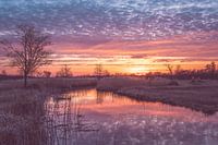 De Wieden bij zonsondergang