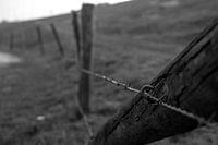 Clôture en fil de fer barbelé