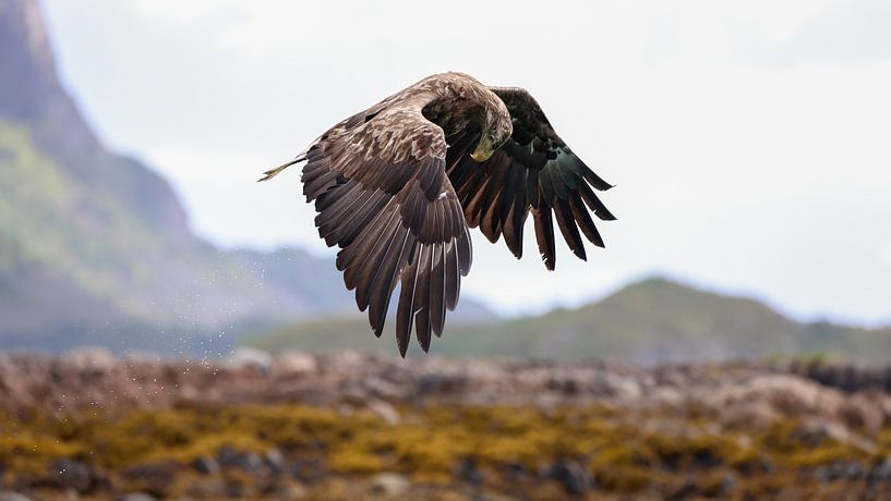 Maîtrise du ciel par Petri Niskanen