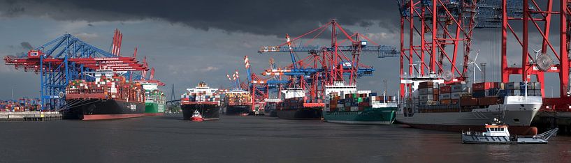 Containerhafen in Hamburg mit Frachtschiffen und Kränen von Jonas Weinitschke