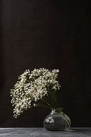 Photo print | Gypsophila | Modern still life | Botanical