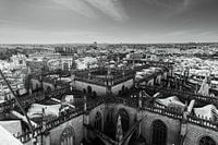 Blick auf La Giralda in Sevilla