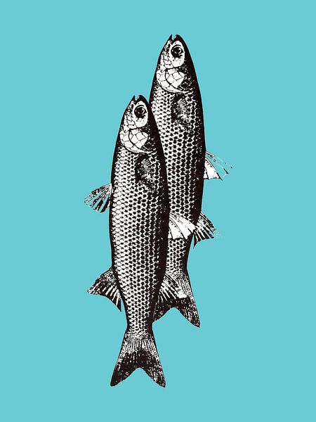 Sardinas von Elizabeth C