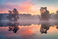 Oisterwijk Wälder und Niedermoore