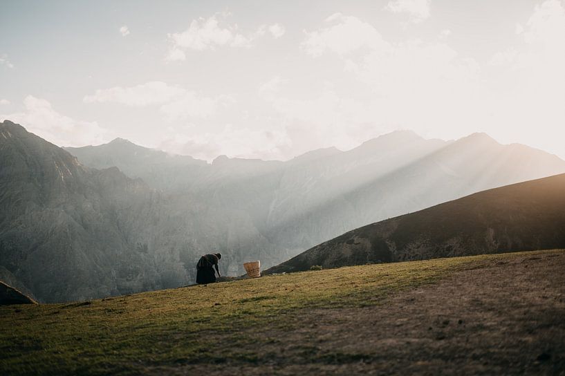 Woman working in the field high in the mountains of Nepal during sunset van Ayla Maagdenberg