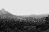 Volcanic rainforest Costa Rica black and white
