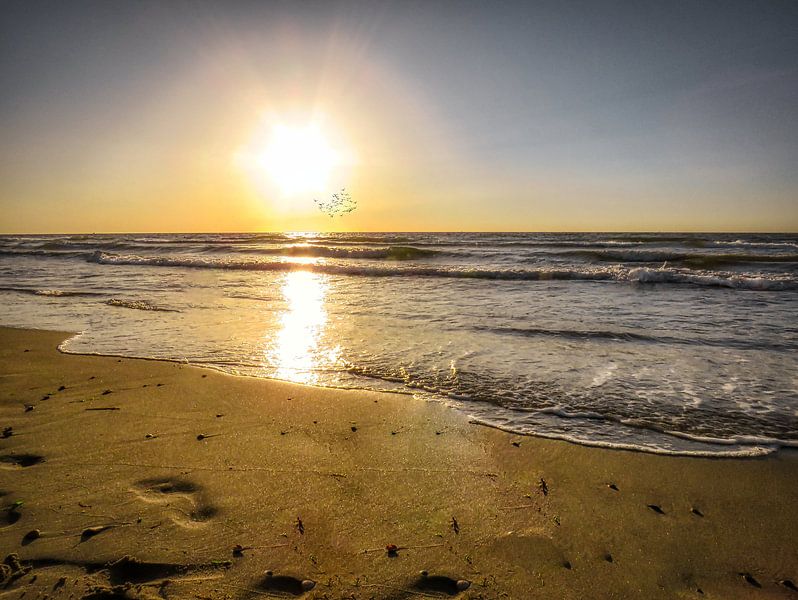 Vagues sur la côte par Harry Stok