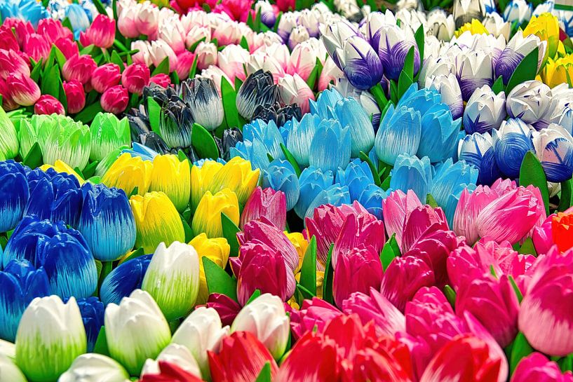 Hölzerne Tulpen von Eduard Lamping