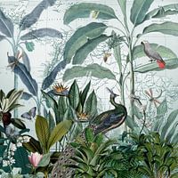 Stolzer Pfau im Tropenparadies