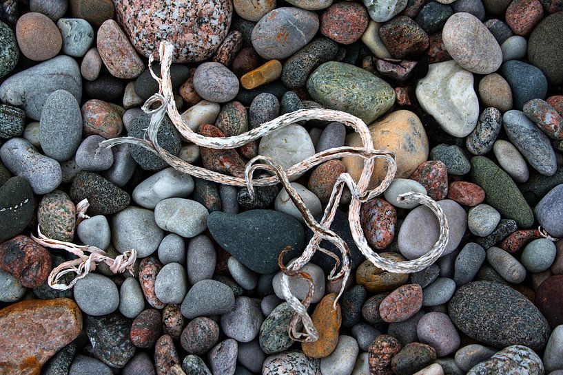 Strandgut by Andreas Müller