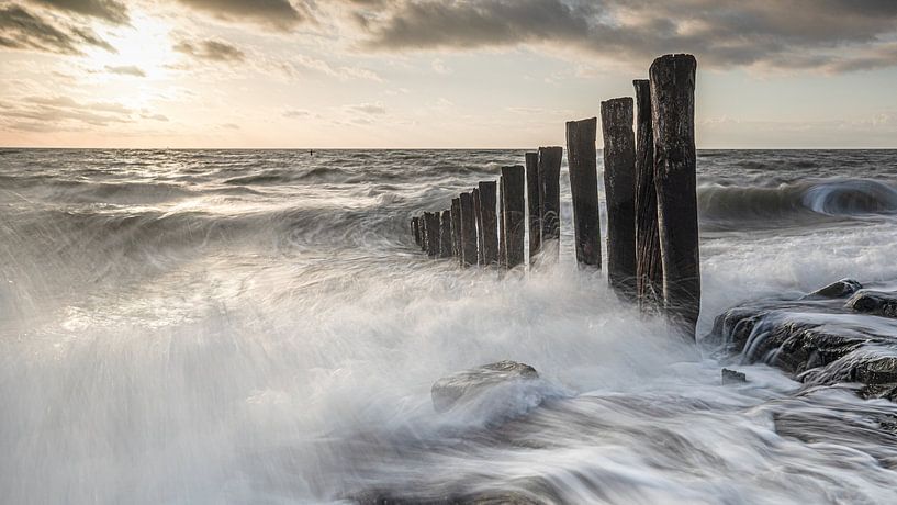 Westkapelle pilchard by Linda Raaphorst