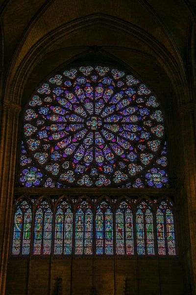 famous stained glass window in Notre Dame of Paris by Eric van Nieuwland