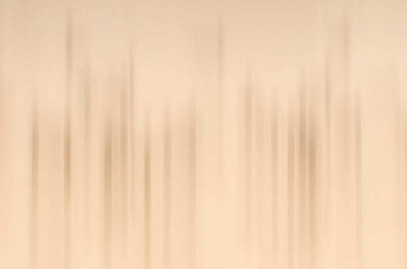 nature abstraite par Hans Debruyne