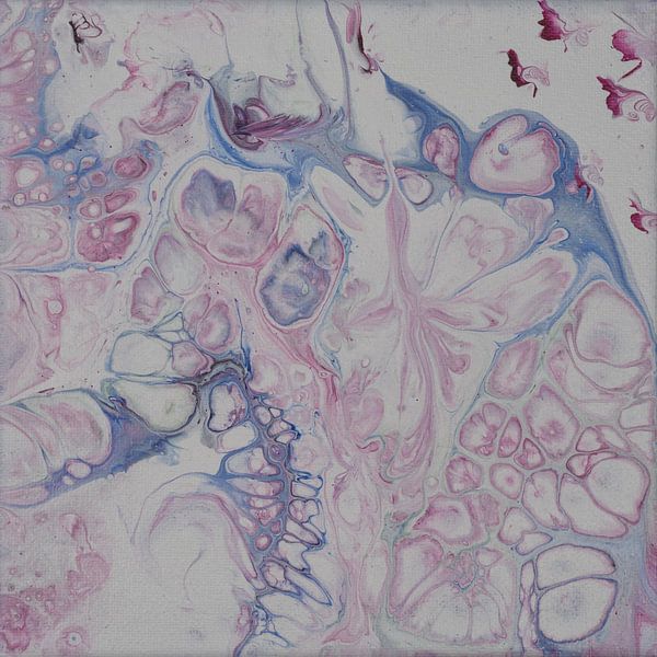 Rosa von Angelique van 't Riet