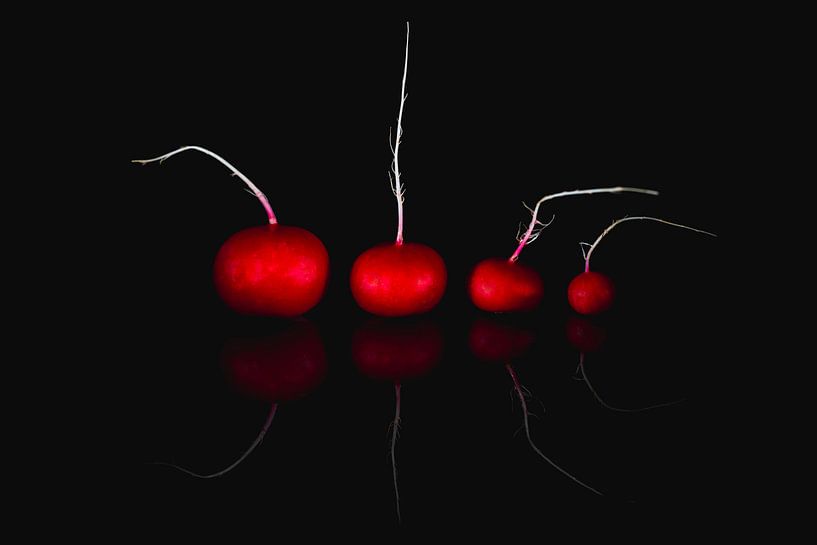 Red radishes by Corrine Ponsen
