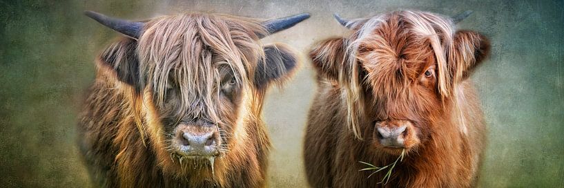 boy and girl by Claudia Moeckel