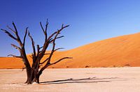 Ombre portée - Dead Vlei Namibia