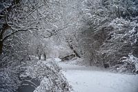 Verträumte Winterlandschaft mit Bachlauf