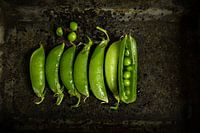 Sugarsnaps dans le rôle principal