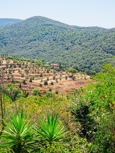 Toskana Dorf und Häuser von Mustafa Kurnaz
