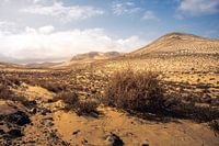 A car in a desert of sand