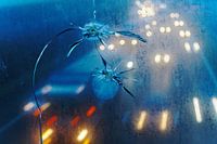 Insekten über der Autobahn